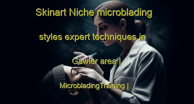 Skinart Niche microblading styles expert techniques in Gawler area | MicrobladingTraining | MicrobladingClasses | SkinartTraining-Australia